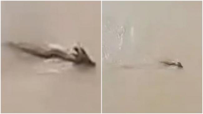 ϻϿˮ֡
