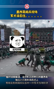 ıֳһĻȮûס