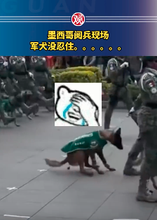 ıֳһĻȮûס