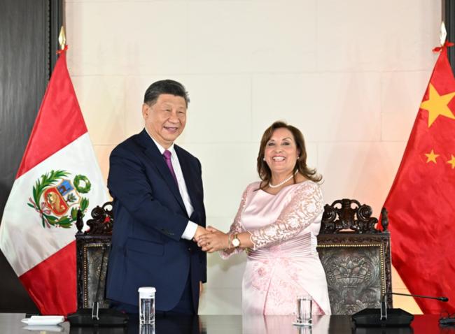 她被高票罢免！去年才和习近平风光过面