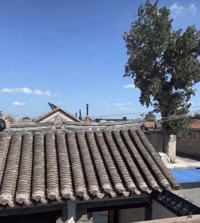 于震:回山东老家定居 青砖瓦房四合院引热议 于震:回山东老家定居 青砖瓦房四合院引热议