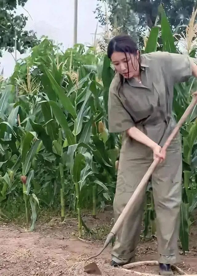 她靠美貌征服无数男人 48岁回老家种地素颜出镜 她靠美貌征服无数男人 48岁回老家种地素颜出镜