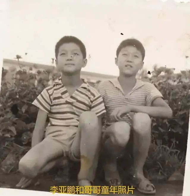 李亚鹏父亲离世母亲已81岁 哥哥因钱反目 李亚鹏父亲离世母亲已81岁 哥哥因钱反目