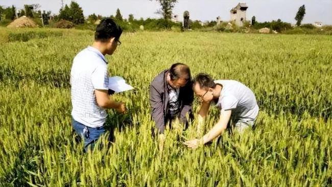 同样14亿人 为何中国满世界买粮 印度大量出口 同样14亿人 为何中国满世界买粮 印度大量出口