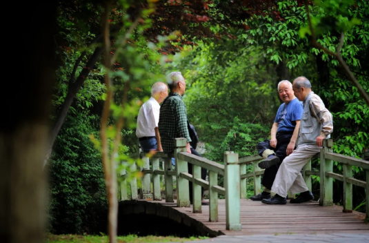 这个重阳节,关注一个事关2亿老人的问题 这个重阳节,关注一个事关2亿老人的问题