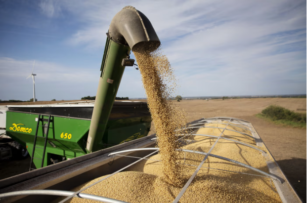 川习会前夕 中国国企购买三批美国大豆 川习会前夕 中国国企购买三批美国大豆