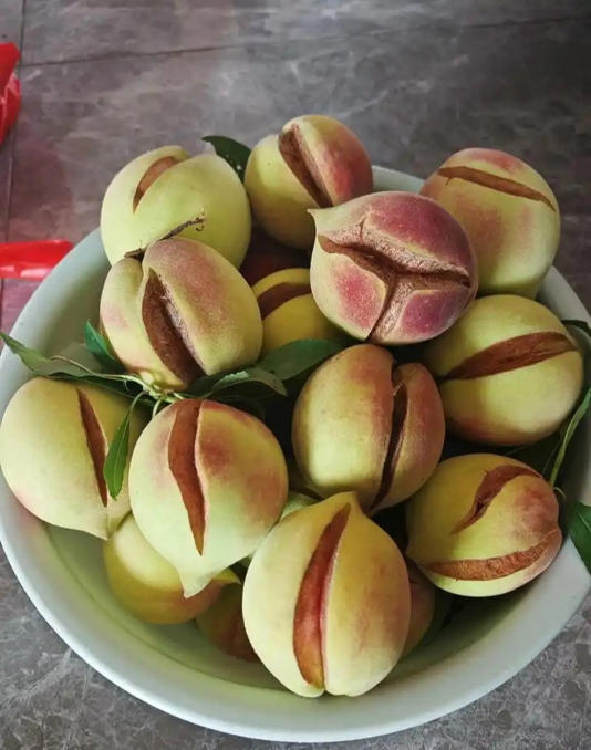 央视曝光   这些“高价水果”   有钱也别买 央视曝光   这些“高价水果”   有钱也别买