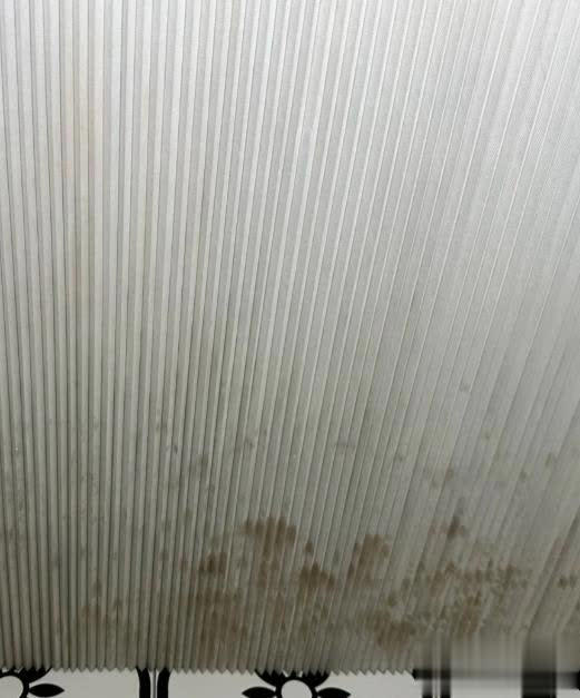 厕所里有这5样东西赶紧扔  出问题就晚了 厕所里有这5样东西赶紧扔  出问题就晚了