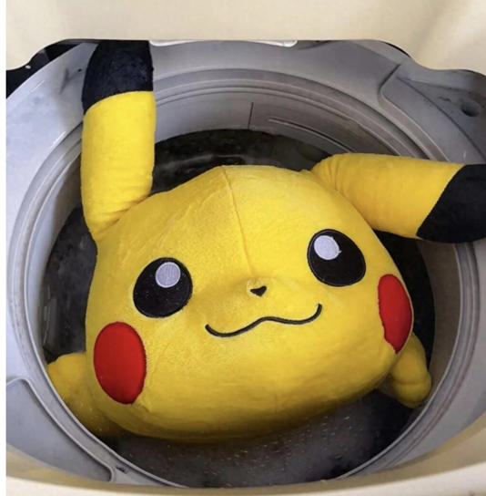 这6样东西不要放进洗衣机里洗