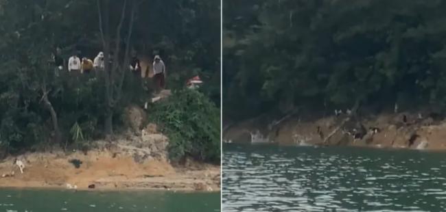 魔幻了：广东惊现抓大量野猫 水库“放生”…