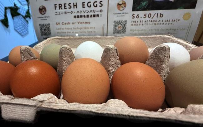 白蛋和棕蛋哪个更有营养?真相超乎你想像 白蛋和棕蛋哪个更有营养?真相超乎你想像