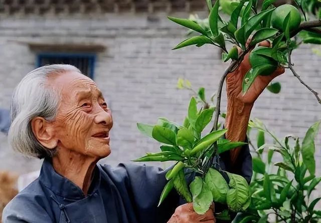 身材决定寿命?活过80岁者身材有2特征 身材决定寿命?活过80岁者身材有2特征