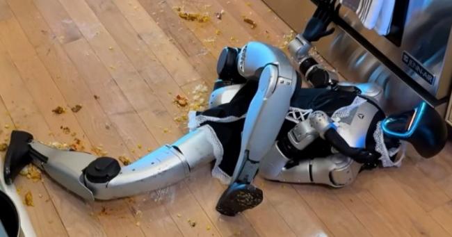 顶级喜剧.....在厨房捣乱的机器人 顶级喜剧.....在厨房捣乱的机器人