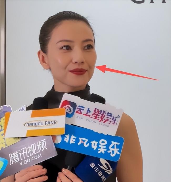 46岁高圆圆活动生图:脸上褶子多含胸驼背 46岁高圆圆活动生图:脸上褶子多含胸驼背