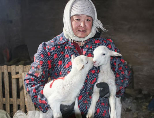 中国最好吃的羊肉 都在这张地图里 中国最好吃的羊肉 都在这张地图里