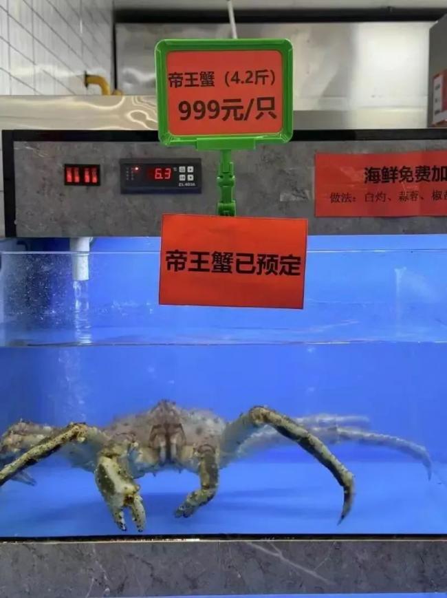 为什么中国的大学食堂容不下一只帝王蟹 为什么中国的大学食堂容不下一只帝王蟹