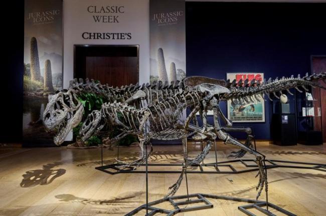 中国大佬竟持有侏罗纪恐龙化石?逃亡英国被查抄 中国大佬竟持有侏罗纪恐龙化石?逃亡英国被查抄