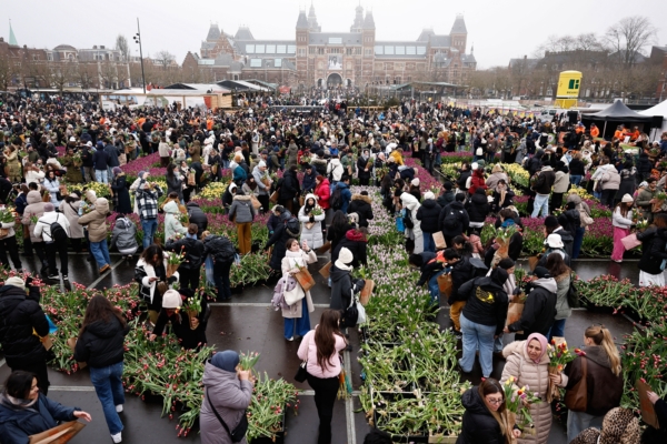 北京两大昏招 上海从此一蹶不振 北京两大昏招 上海从此一蹶不振