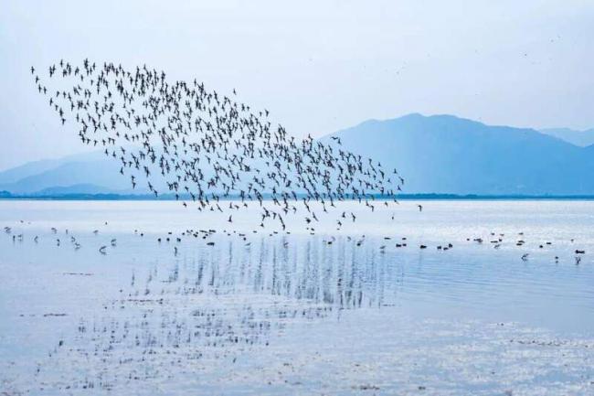 中国最贵的楼盘 它们居然可以免费入住 中国最贵的楼盘 它们居然可以免费入住