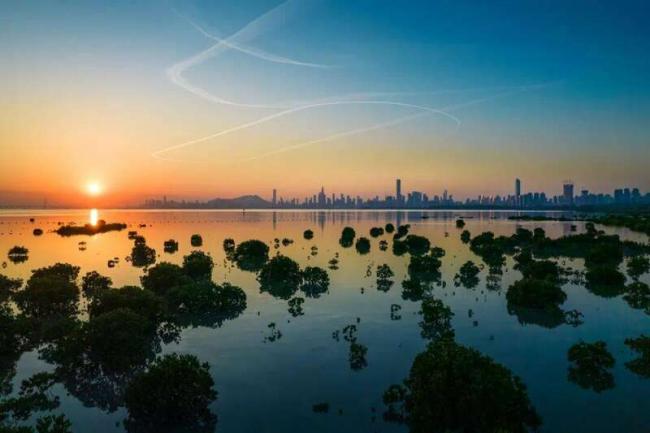 中国最贵的楼盘 它们居然可以免费入住 中国最贵的楼盘 它们居然可以免费入住