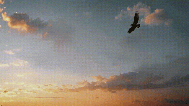 硅谷华人女CEO杀入！全球首家AI电影厂引爆