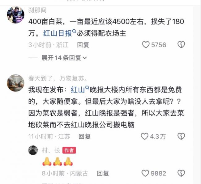 內蒙黨媒造謠白菜免費 400畝白菜被哄搶