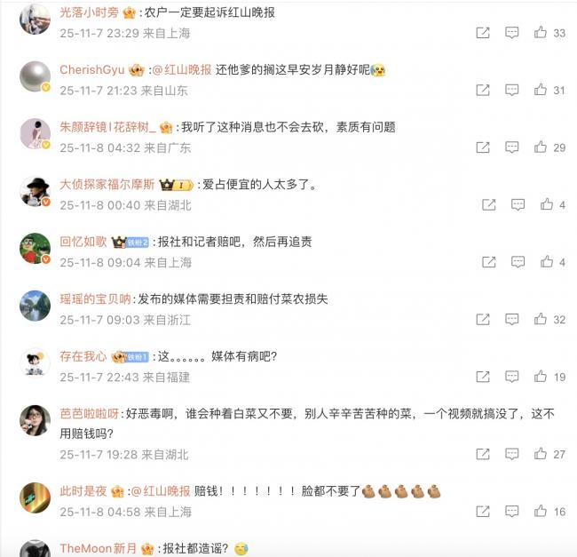 內蒙黨媒造謠白菜免費 400畝白菜被哄搶