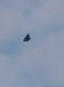 非人类飞行器？内蒙惊现“蝴蝶状”飞行物