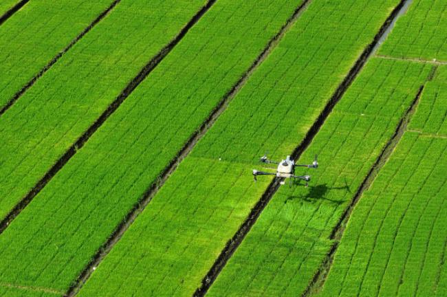 习近平本来忧心忡忡，却因他而希望萌生