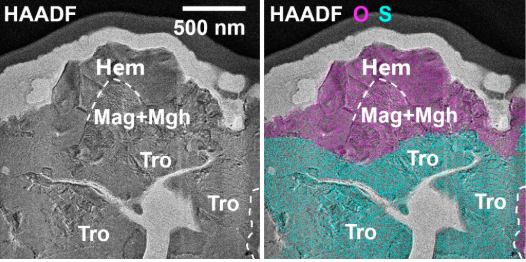 中国科学家首次发现! 中国科学家首次发现!