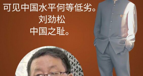 “如此不懂礼貌的外交官员,可知中国的水准” “如此不懂礼貌的外交官员,可知中国的水准”