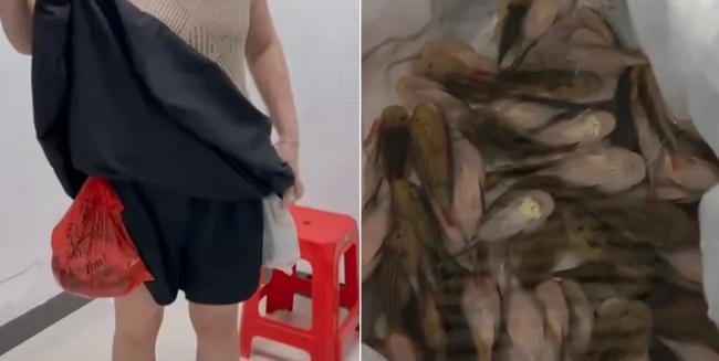 海关人员撩起女游客长裙 惊见229条活鱼…