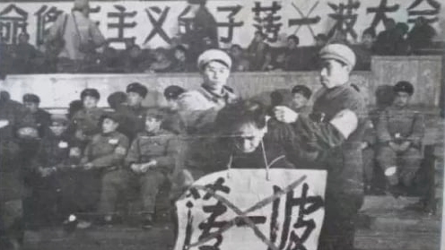 薄一波对赵紫阳说：你剩下一条命 想怎么用？