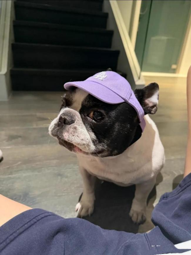 йɹ8000լ60졢880Ԫֽ