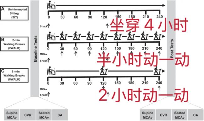 只需2分钟,最最轻松运动对血糖、大脑都好 只需2分钟,最最轻松运动对血糖、大脑都好