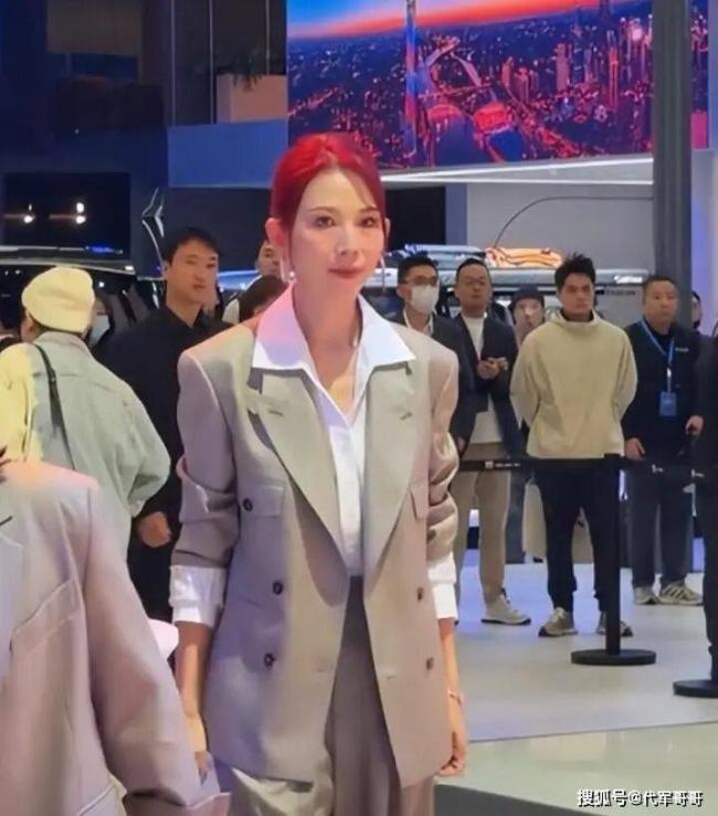 落地的凤凰不如鸡,52岁的蔡少芬真叫王晶说对了 落地的凤凰不如鸡,52岁的蔡少芬真叫王晶说对了