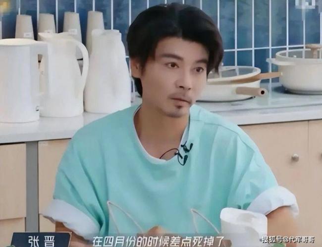 落地的凤凰不如鸡,52岁的蔡少芬真叫王晶说对了 落地的凤凰不如鸡,52岁的蔡少芬真叫王晶说对了