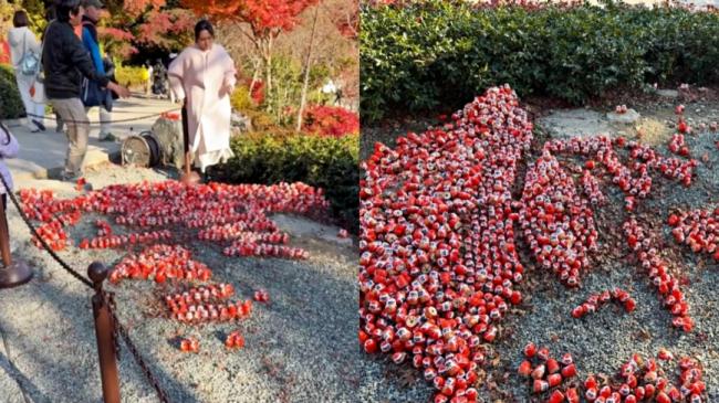 йŮۺ첻˷Ȱ裬ƻձԺ