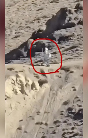 登上热搜 中方派机器人守中印边境 登上热搜 中方派机器人守中印边境