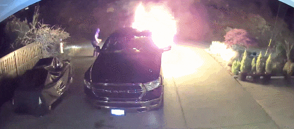 嫌疑人全是难民身份！加国CBSA很丧气