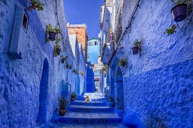 免签刚落地被宰700块！圣彼得堡的坑，别再填了