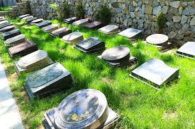 中国将迎前所未有的死亡高峰