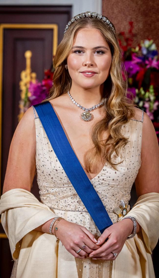 荷兰大公主惊艳国宴,大黄钻夺目,体态健壮 荷兰大公主惊艳国宴,大黄钻夺目,体态健壮