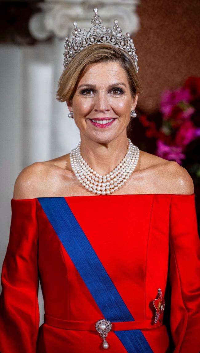 荷兰大公主惊艳国宴,大黄钻夺目,体态健壮 荷兰大公主惊艳国宴,大黄钻夺目,体态健壮