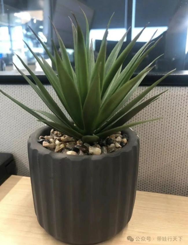 我接触过的印度人 我接触过的印度人