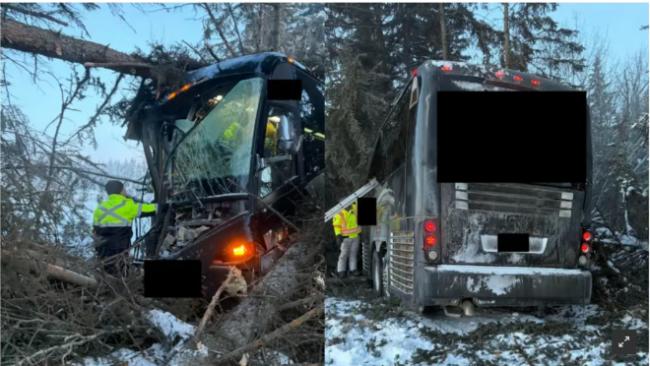 载17人曲棍球队员大巴,高速上冲进树林撞穿 载17人曲棍球队员大巴,高速上冲进树林撞穿