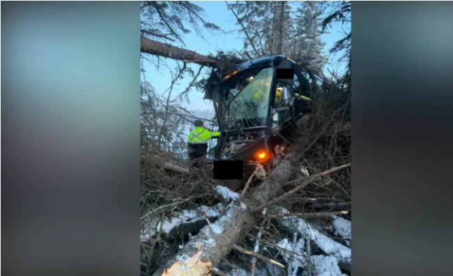 载17人曲棍球队员大巴,高速上冲进树林撞穿 载17人曲棍球队员大巴,高速上冲进树林撞穿