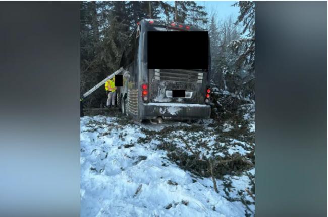 载17人曲棍球队员大巴,高速上冲进树林撞穿 载17人曲棍球队员大巴,高速上冲进树林撞穿