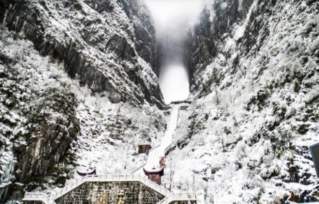 张家界荒野求生停赛 8选手平分48万奖金 张家界荒野求生停赛 8选手平分48万奖金