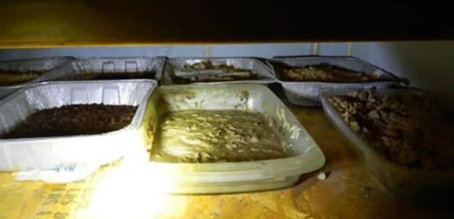 就在你家隔壁,大温列治文华人家搜出芬太尼、枪 就在你家隔壁,大温列治文华人家搜出芬太尼、枪